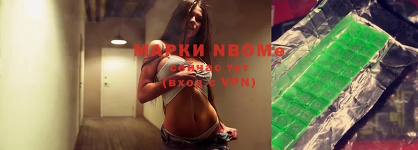 сатива Ступино